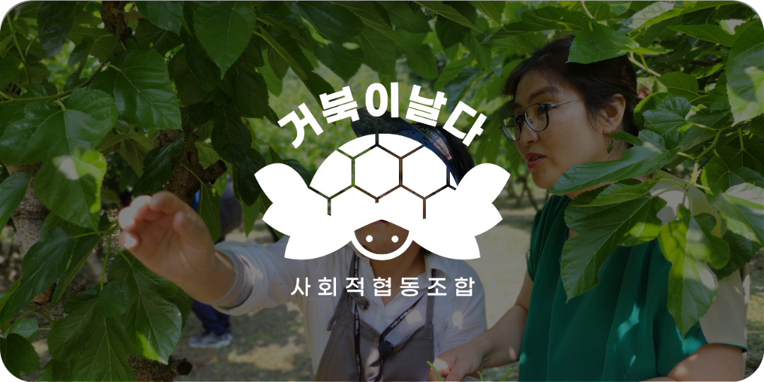 참여기업_거북이날다